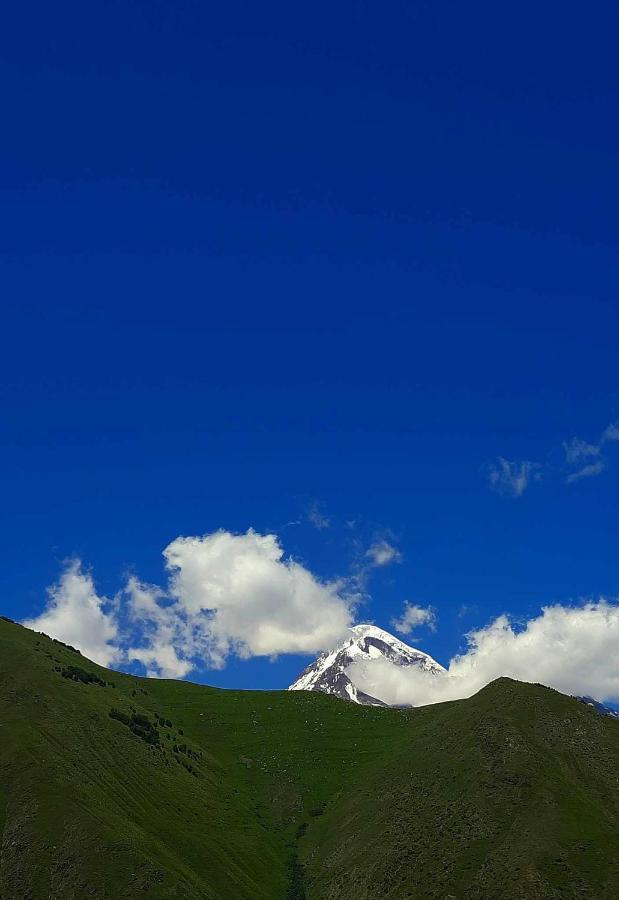 Trip Zone Kazbegi Apartment Exterior photo